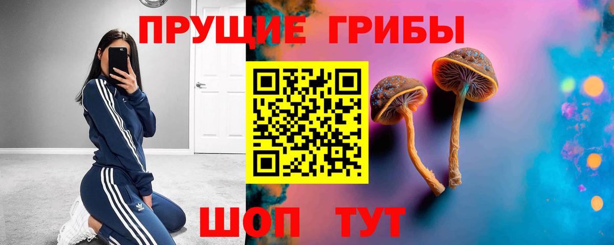 Ессентуки  Галлюциногенные грибы прущие грибы  Вход с VPN 